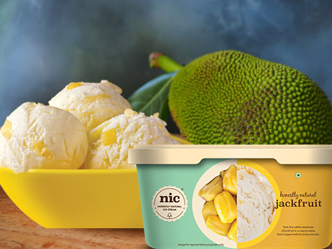 Jackfruit ice deals cream