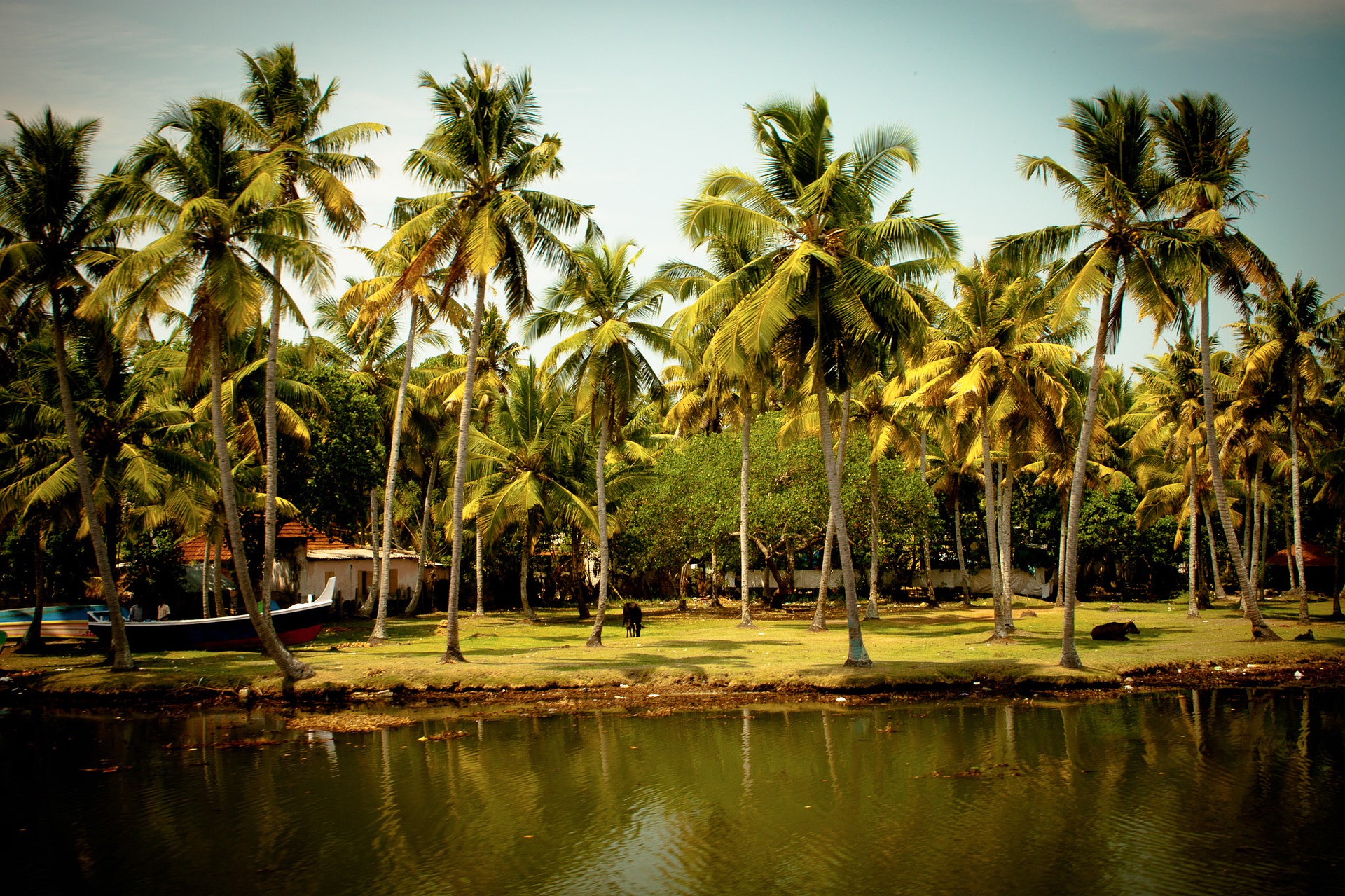 Kerala S Four Tourist Spots Finds Place In 10 Most Welcoming