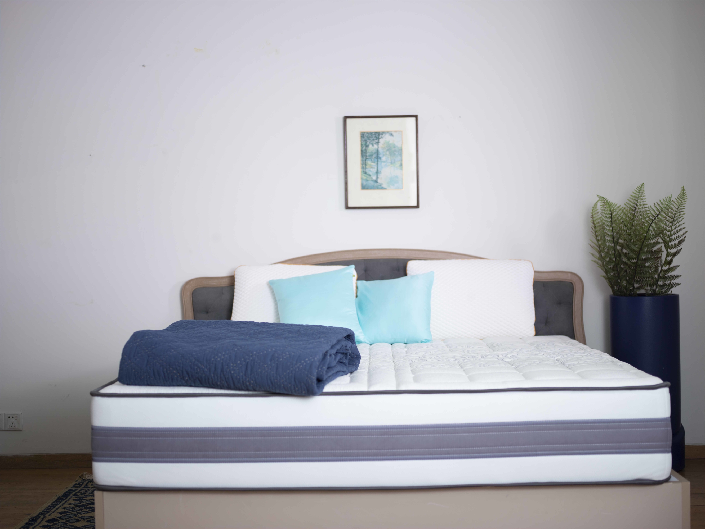 sleepwell admire supportec mattress review