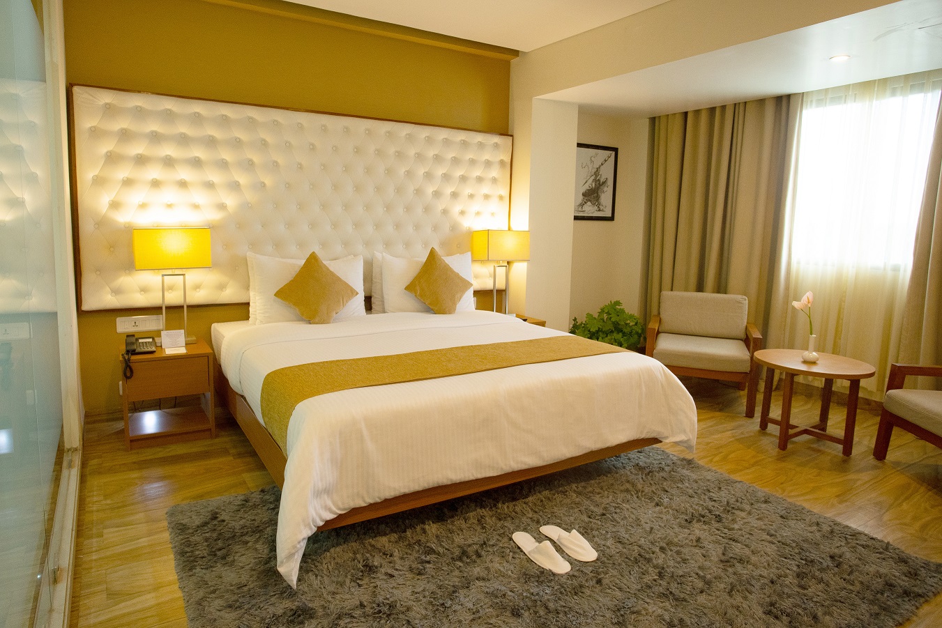 Radisson Individuals debuts in India with the opening of Classic Grande ...